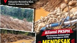 Tambang Emas Diduga Ilegal di Huta Imbaru Disorot, PKSPH Desak Kapolda Sumut Usut Tuntas